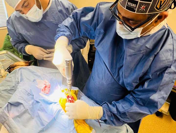 Orthopedic Pet Surgery